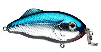 Strike King Hybrid Hunter Jr 1/2oz 3in Chrome Blue Back