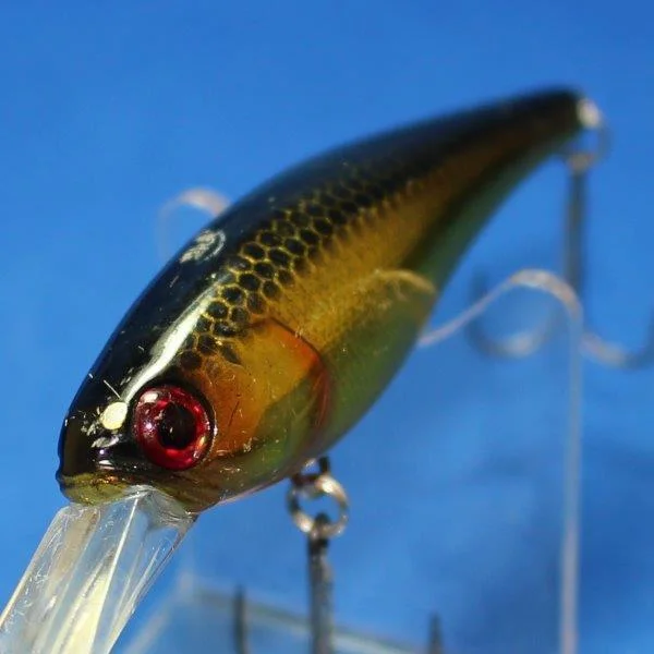 SOUL SHAD 62DDR [Used]