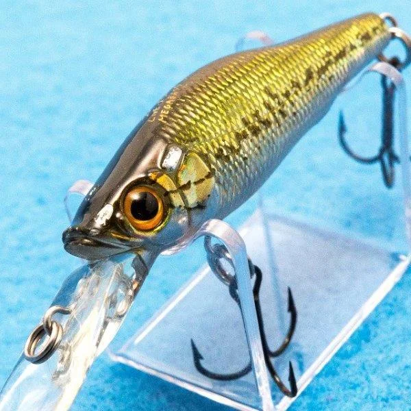 LIVE-X SMOLT [Used]