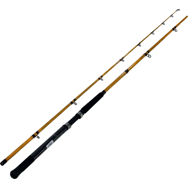 Daiwa FT Trolling Series Dipsey Diver Rod