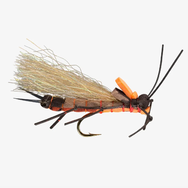 Salmonfly