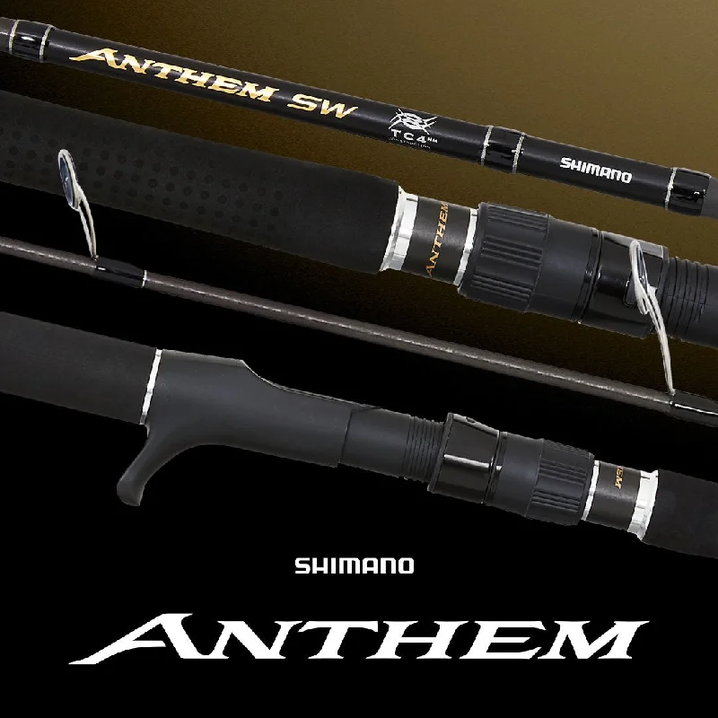 SHIMANO ANTHEM SW 702H 40-50LB