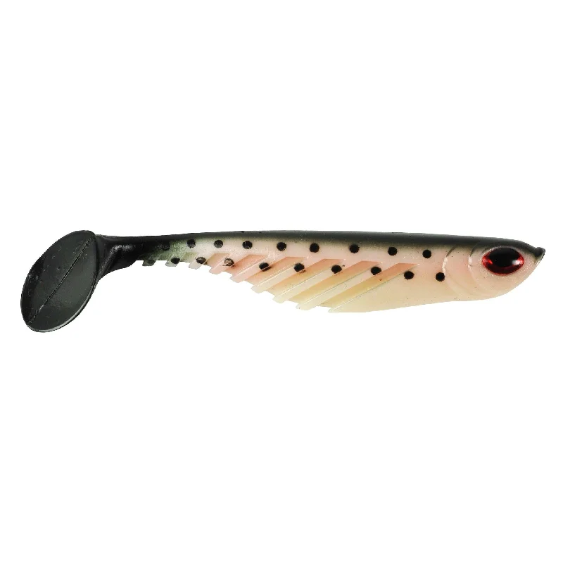 Rainbow Trout