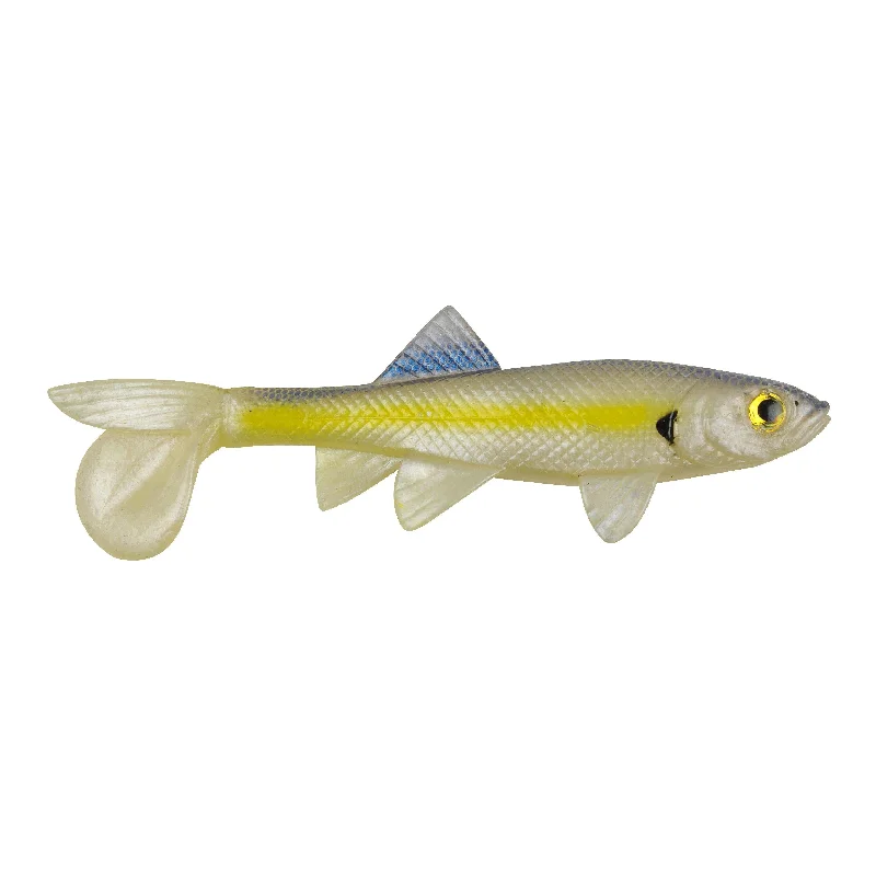 Chartreuse Shad