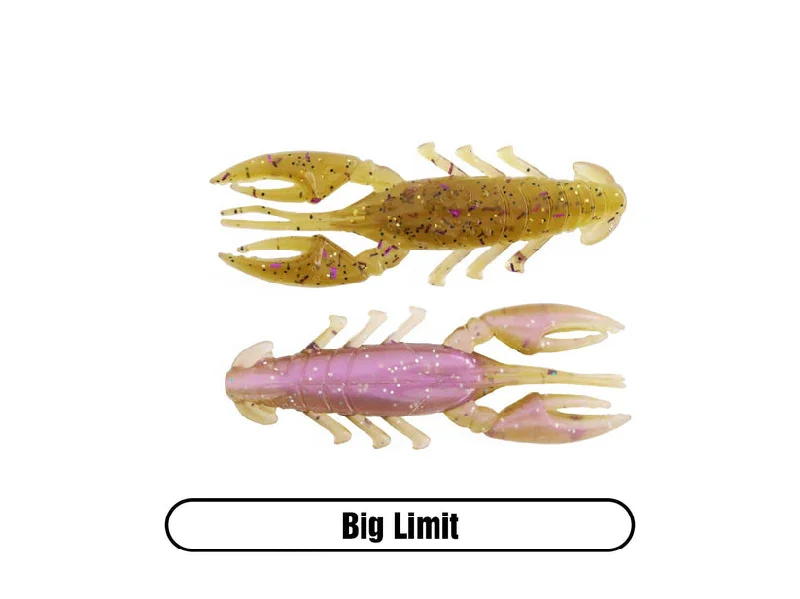 Big Limit